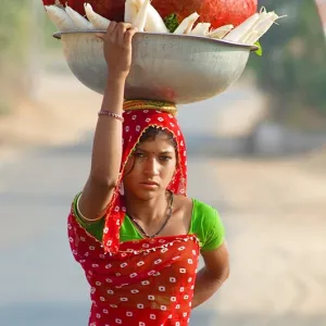 The Beauty of Rajasthan