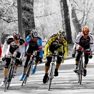 Cherry Blossom Bikers