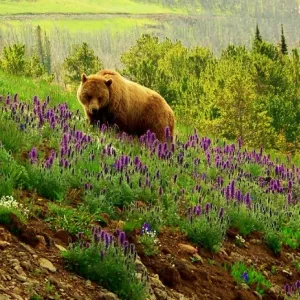 Smelling the flowers