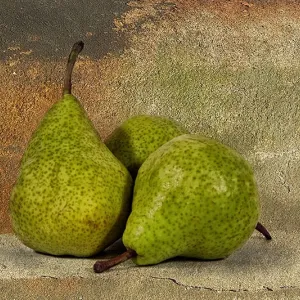 Rustic Pears