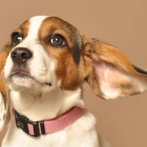 "Speak, I'm all ears"