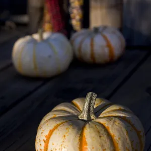 Pumpkins