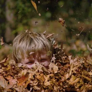 Buried in Leaves