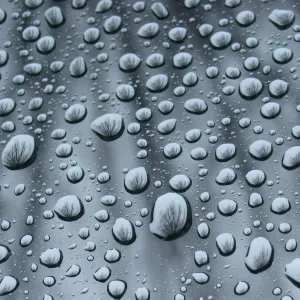 Through Nature's Lens