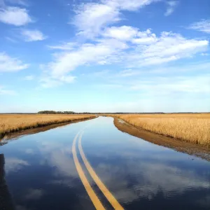 A Drive in the Clouds
