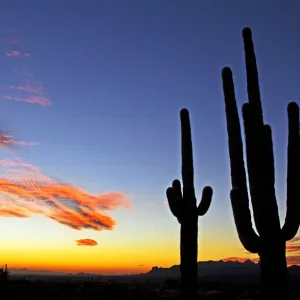 The Beauty of a Sunset