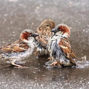 Back off, this is my turf