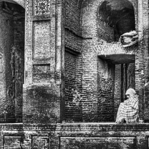 Living among the ruins