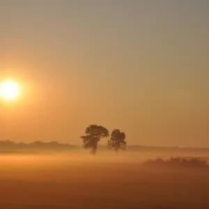 Sunrise with ground fog