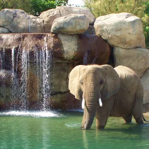 Is this my good side?