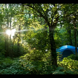 Perfect Camping Site