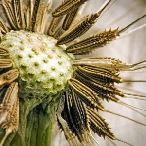 At the mercy of the winds