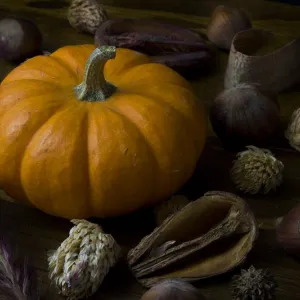 Harvest Pumpkin