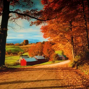 Jenne Farm Autumn Foliage