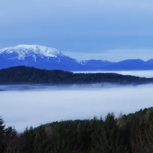 Above the Fog