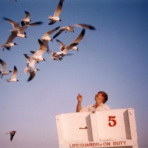 Don't feed the birds....