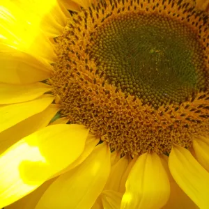 can't beleive i took this