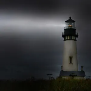Yaquina Head Fog