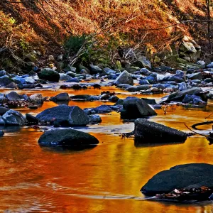 Fall color reflections
