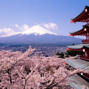 Mt.Fuji, Japan