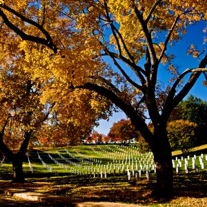 Arlington Cemetery, Veter