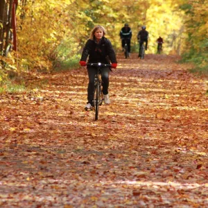 fall-in love with nature