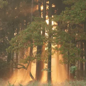 Bohemian Switzerland