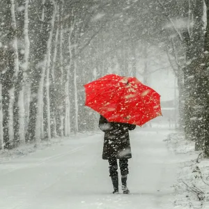 thr red umbrella