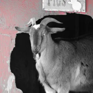 Clearly he can't read!!!