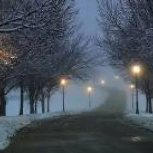 Frosty Snowy Morning