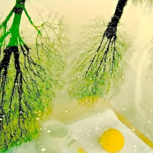 Reflection of Breakfast