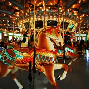 Carousel horse