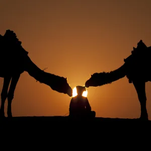 Sunset At thar desert