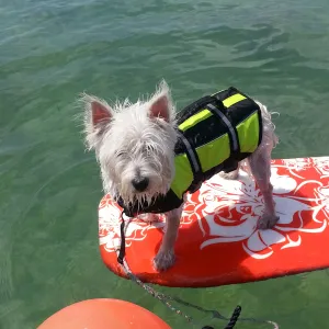 Finnegan (surfing Fl Bay)