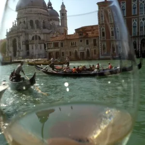   A TOAST TO VENICE