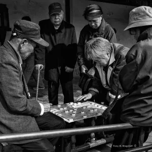 Chinese checkers