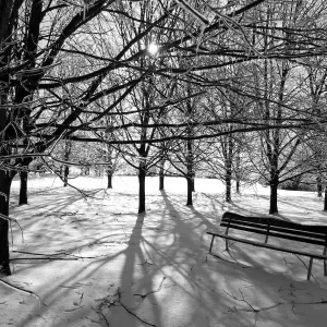 Bench in Winter
