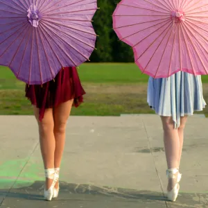 Twin Ballerina's