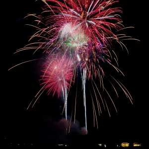 Oystercatcher in the surf
