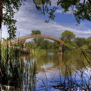 Afternoon at the Lake