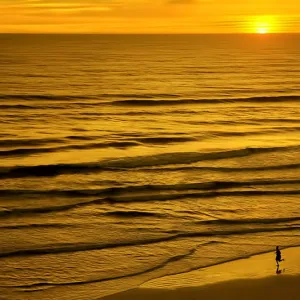 Following the Sea Rhythm