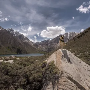 The General Conquers