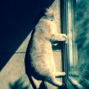 Contemplation reflection