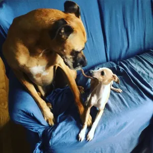 Why are you so small?