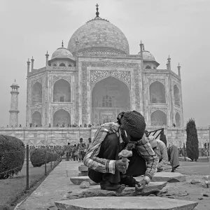 The TAJ renovation