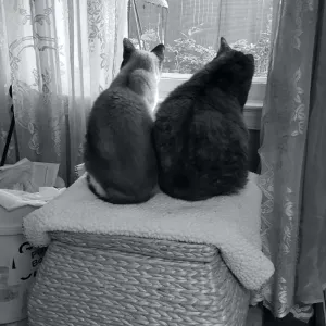 Sharing a Window Seat