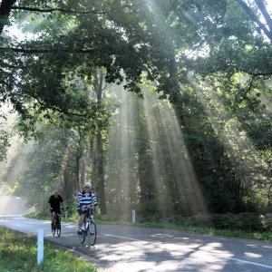 Misty start in Montfort (The Netherlands)