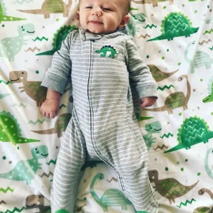 Dinosaurs are a boys best friend ?