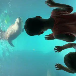 Fun at the Long Island Aquarium in Riverhead NY