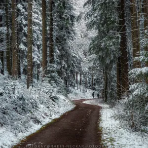 Wintermood - Unterwegs im Odenwald.